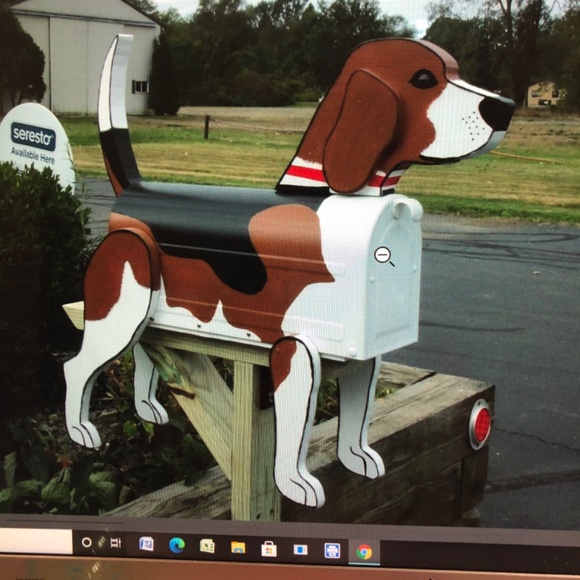 Meet your Posher, David - Picture 1 of 1